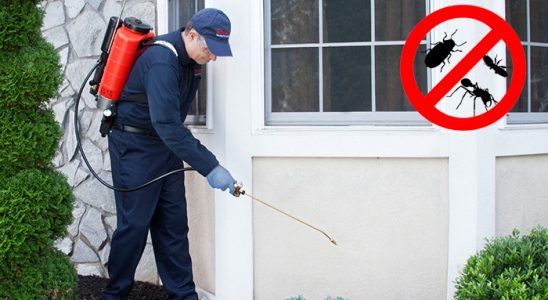 Demre Dezenfeksiyon böcek ilaçlama ve haşere kontrolü — ilaclama-tr.com